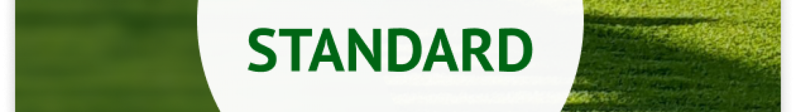 Colección Standard 2025