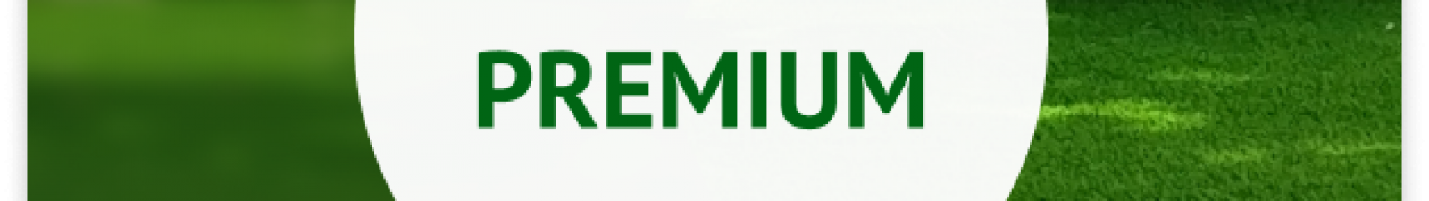 Colección Premium 2025