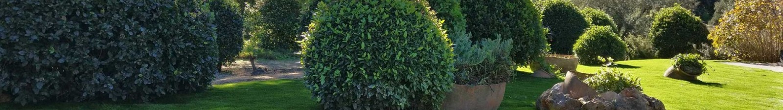 Proyectos de césped artificial | CespedJardin