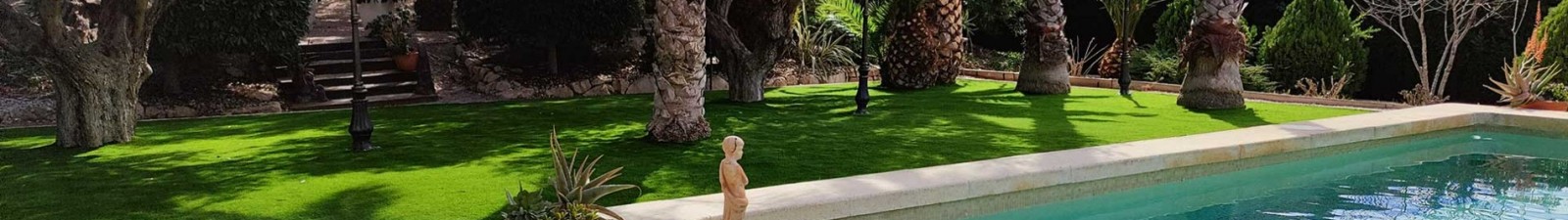 Primeros pasos