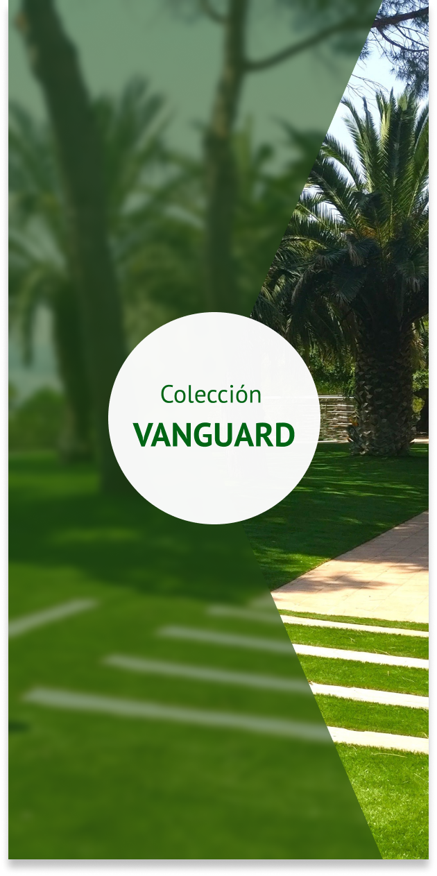 Colección Vanguard 2025