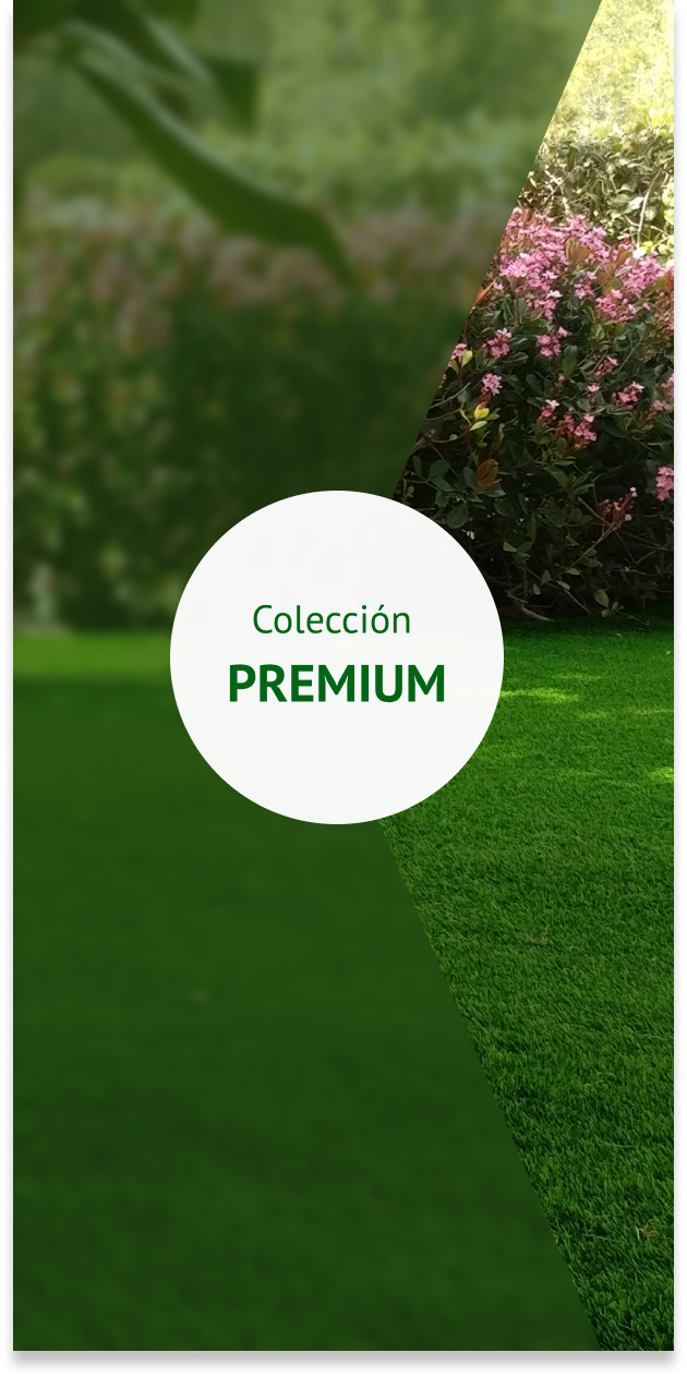 Colección Premium 2025